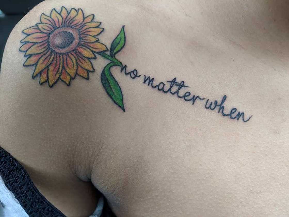 Sunflower design Sunflower design