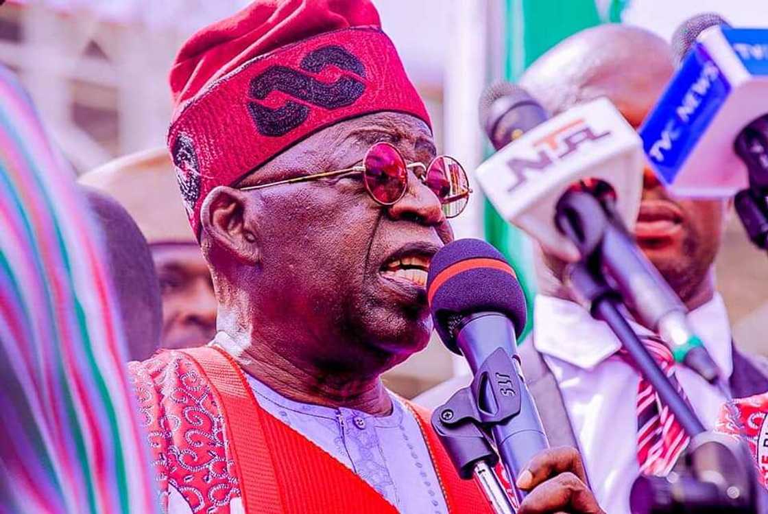 Tinubu Tinubu