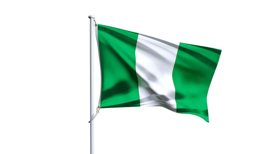 Waving flag of nigeria isolated on white background.