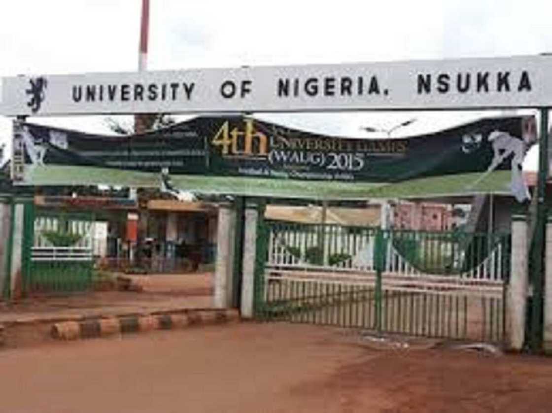 Tinubu's mijister administer he has yet to collect his degree certificate from UNN Tinubu's mijister administer he has yet to collect his degree certificate from UNN