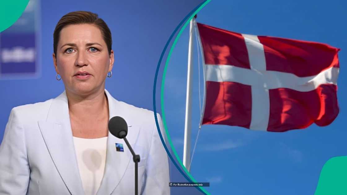 Denmark announces 1 category eligible for Danish citizenship without test
