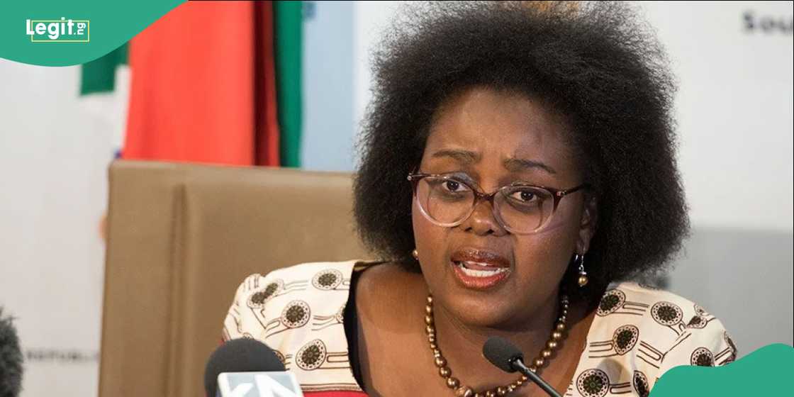 South Africa says xenophobia allegations are taking a toll beyond its borders