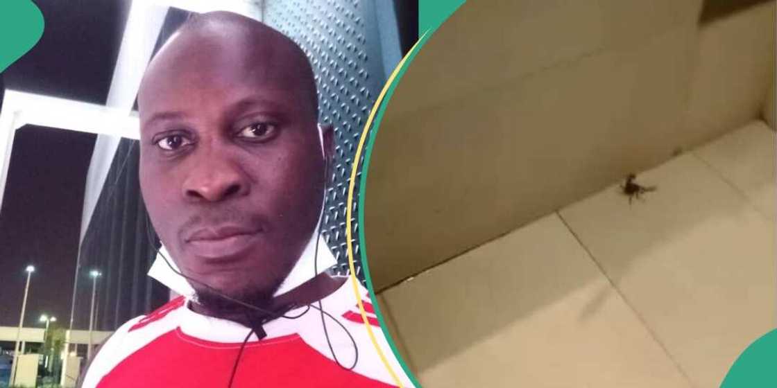 Nigerian man sees deadly scorpion inside his house Nigerian man sees deadly scorpion inside his house