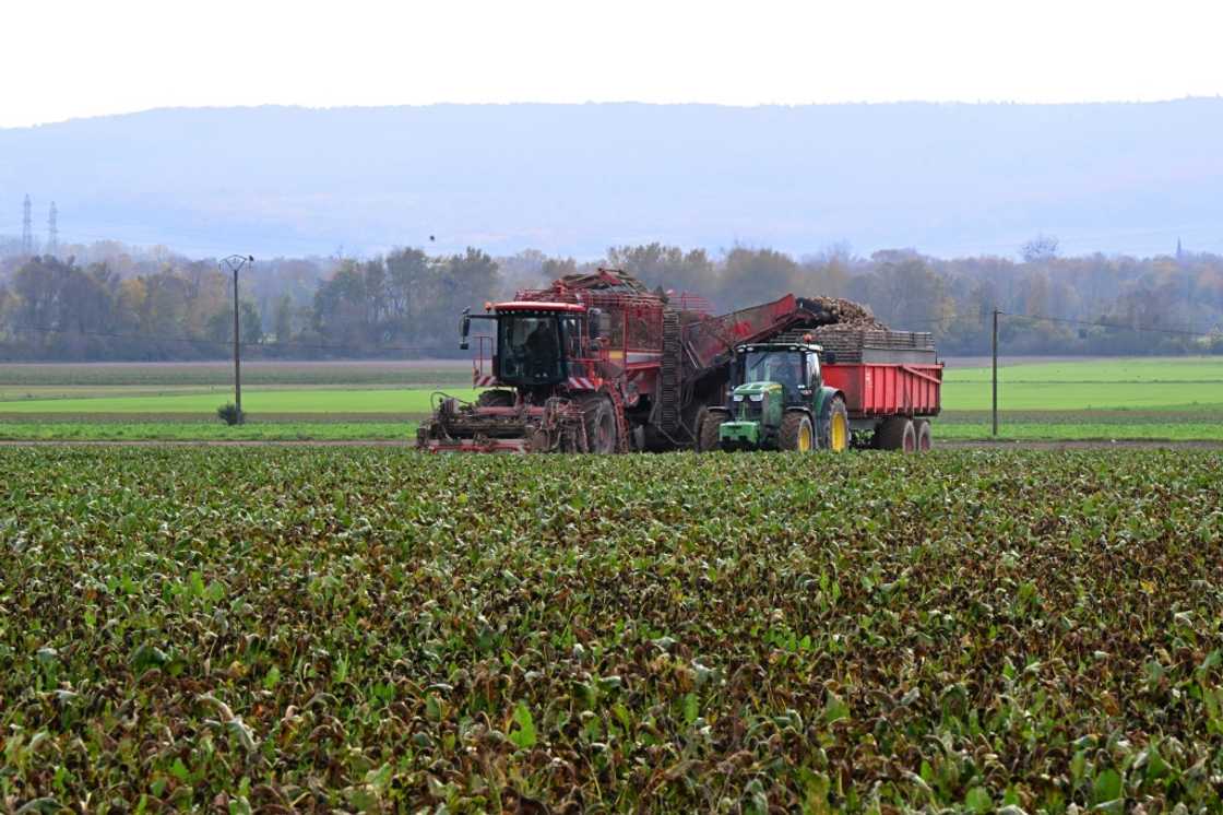 European farmers say Russian fertilizer is cheaper and easier to get European farmers say Russian fertilizer is cheaper and easier to get