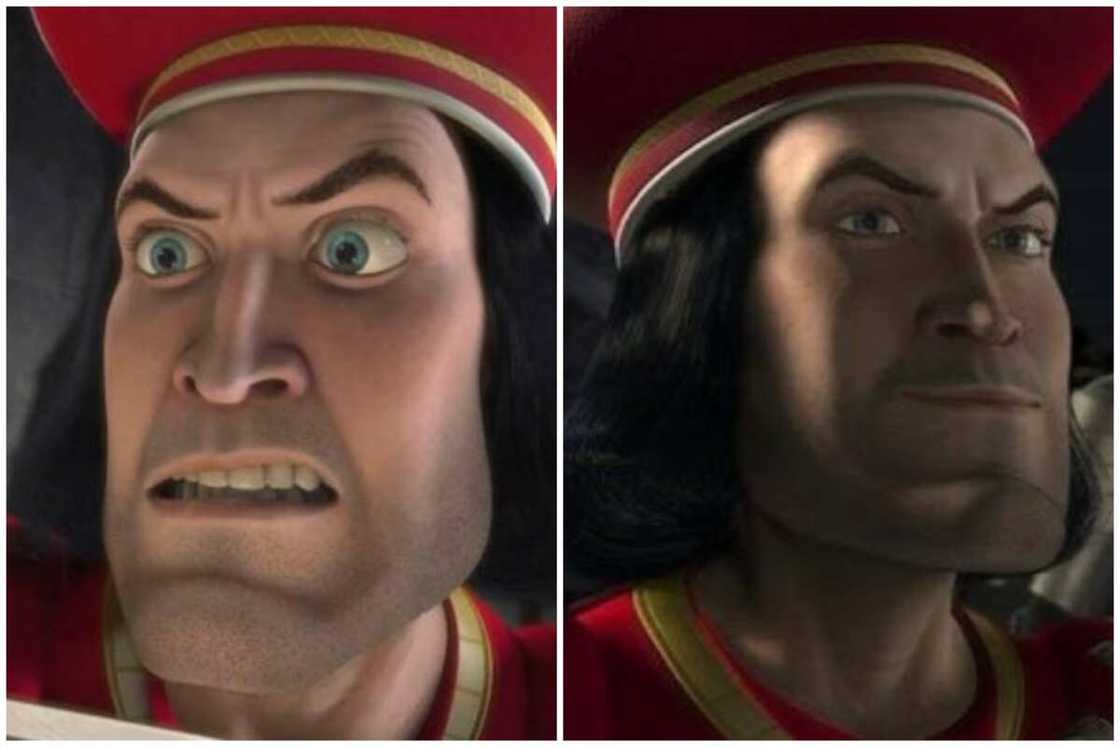 Short guy from Shrek Short guy from Shrek