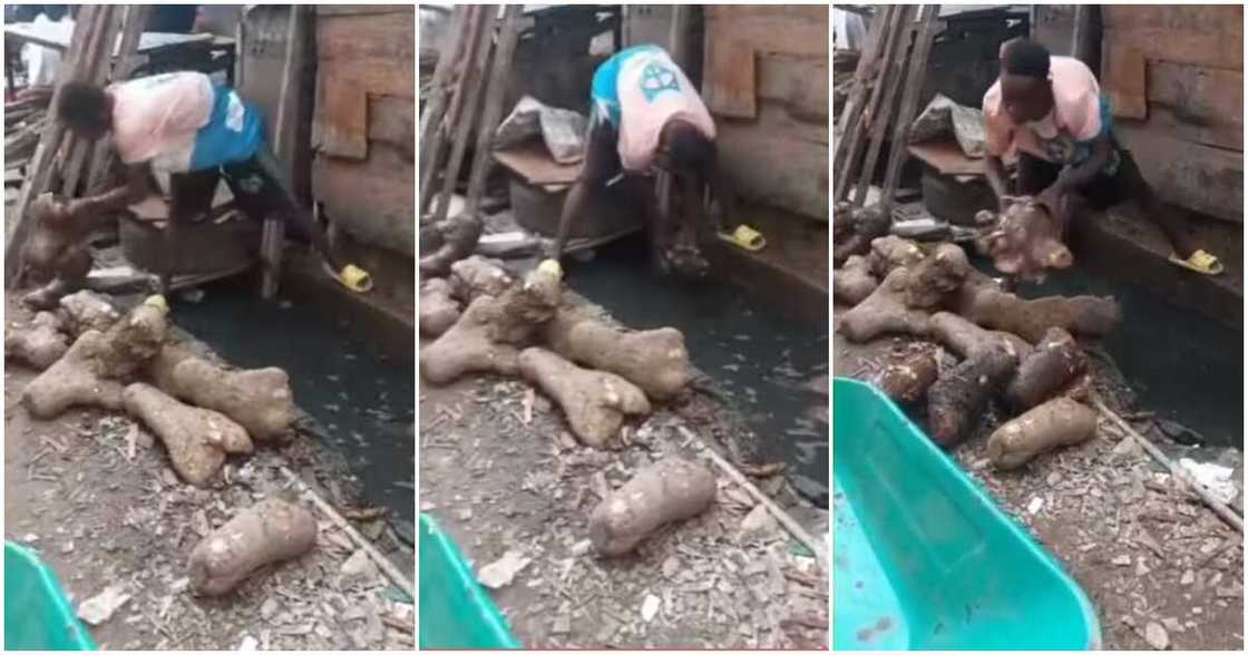 Yam seller, gutter Yam seller, gutter