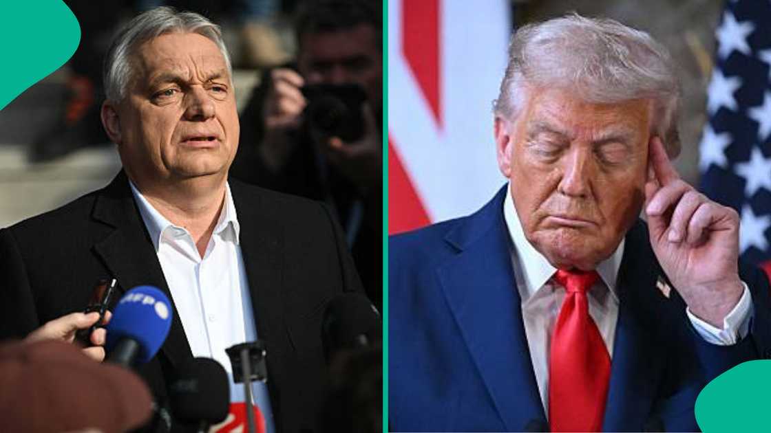 Viktor Orban da shugaba Donald Trump