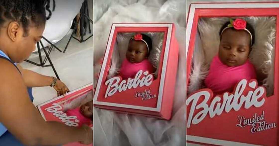Mum puts her baby in a box
Photo credit: @sugarmomentsphotography/TikTok. Mum puts her baby in a box
Photo credit: @sugarmomentsphotography/TikTok.