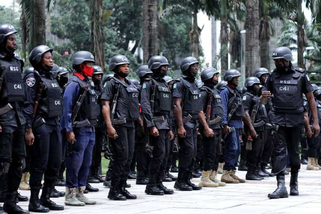 Dakarun C41 Dakarun C41