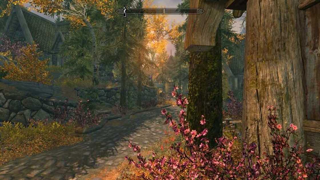 best skyrim mods ps4