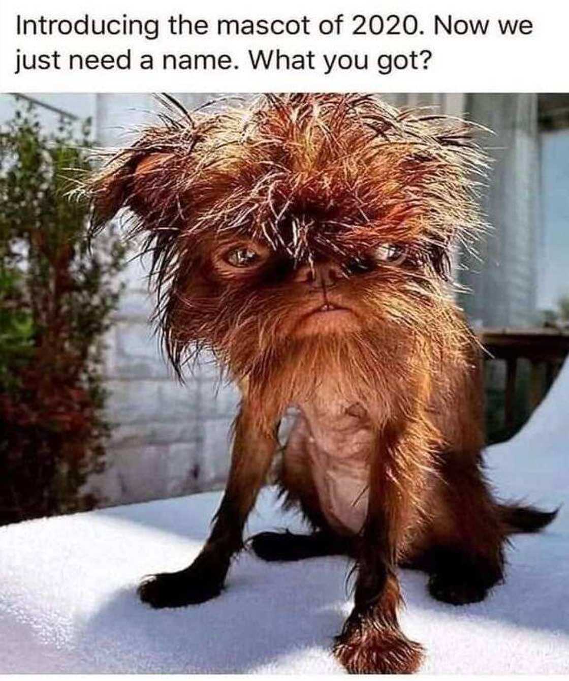 30+ relatable tired meme ideas to exchange with your coworkers 30+ relatable tired meme ideas to exchange with your coworkers