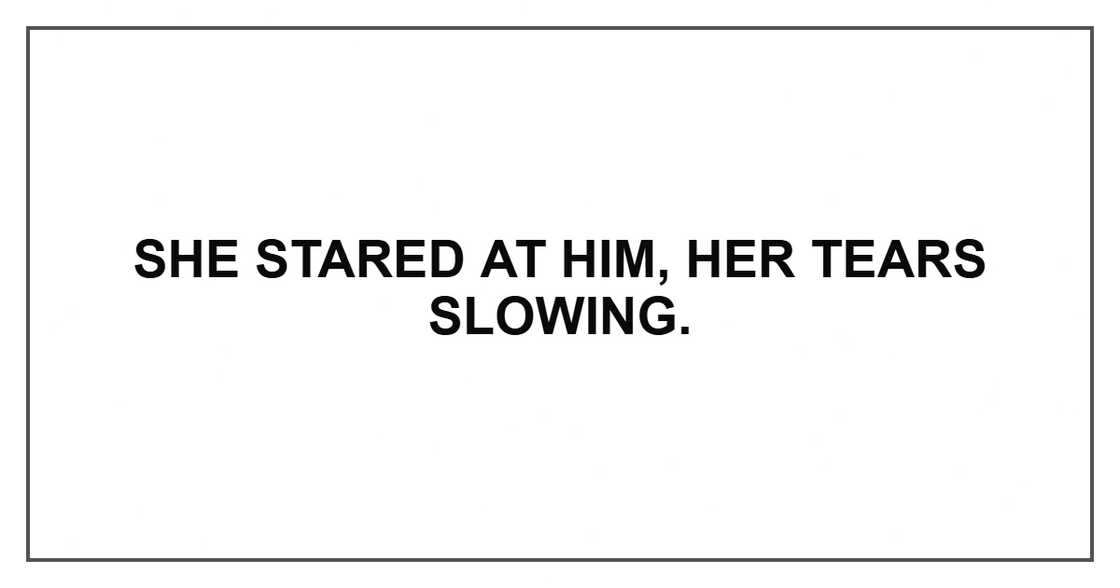 She stared at him, her tears slowing.