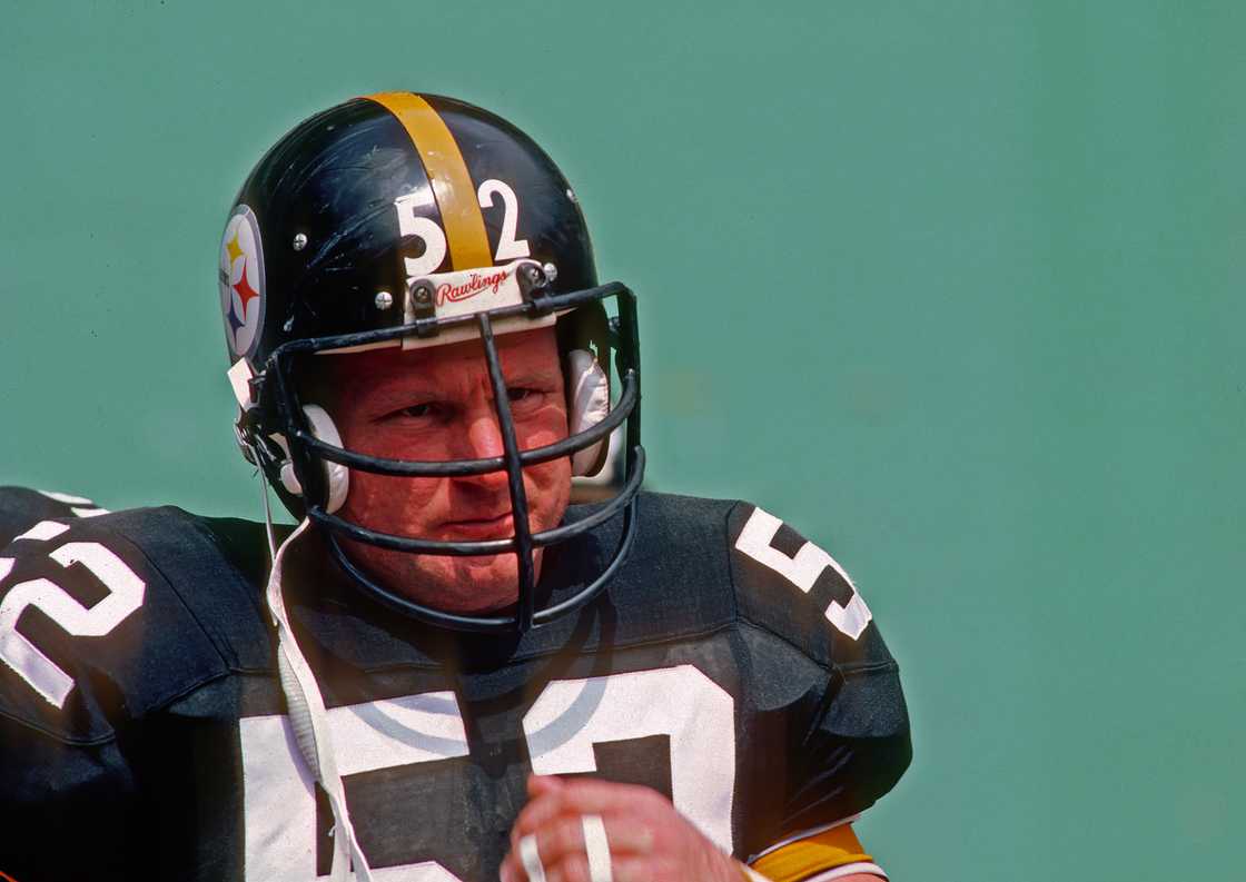 Mike Webster Mike Webster