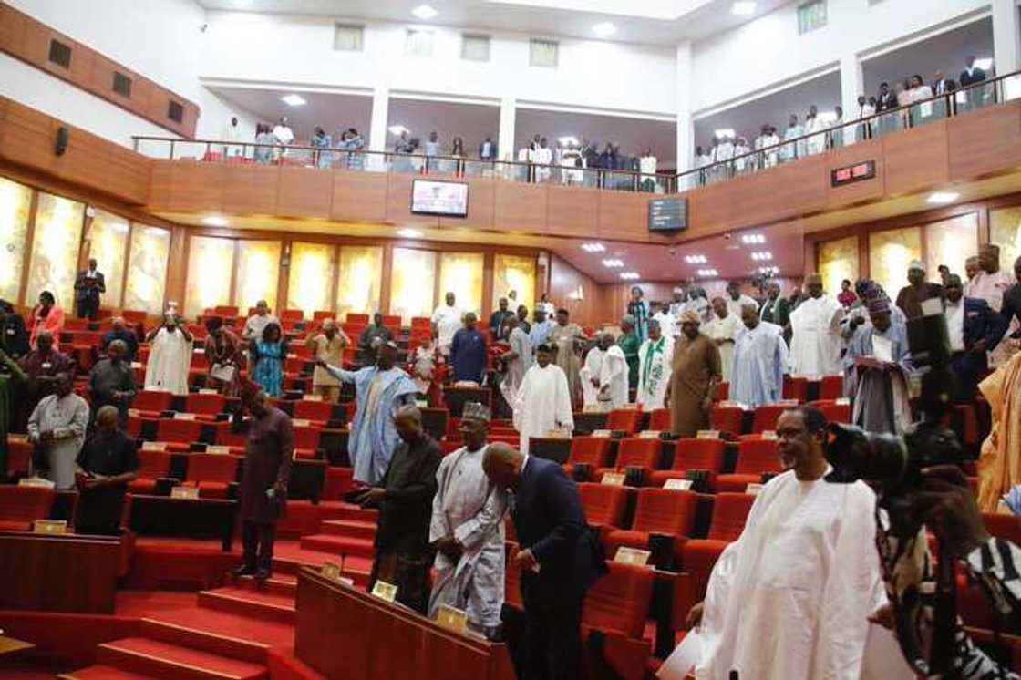 Nigerian Senate Nigerian Senate