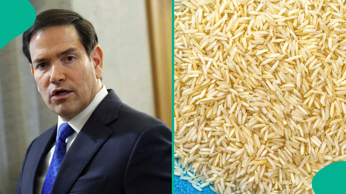 Travellers must check CBP rules on restricted fruits, vegetables, and biological materials.