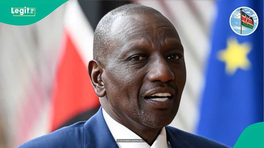 Kenya lists 9 items prohibited from entering or leaving the country