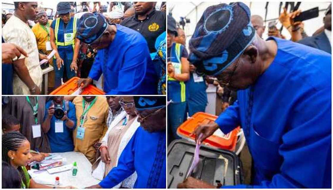 Tinubu votes Tinubu votes