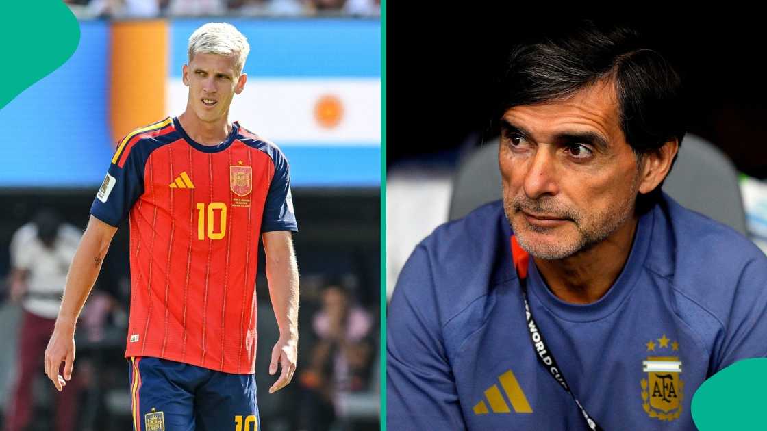 Argentina, Roberto Ayala, Spain, Dani Olmo, FIFA, World Cup, USA.