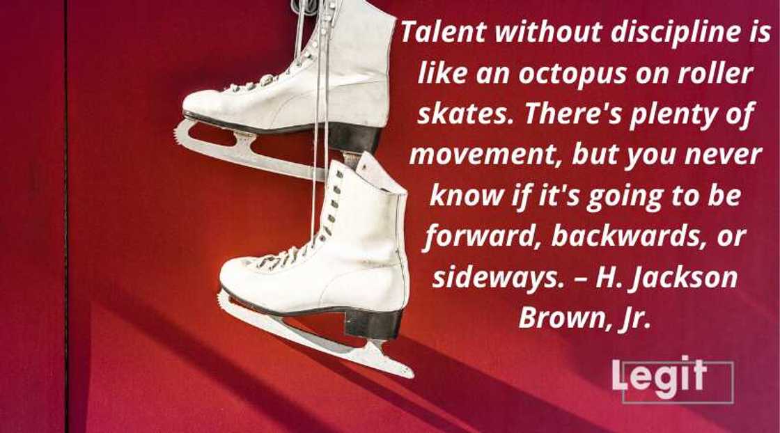 quotes on discipline quotes on discipline