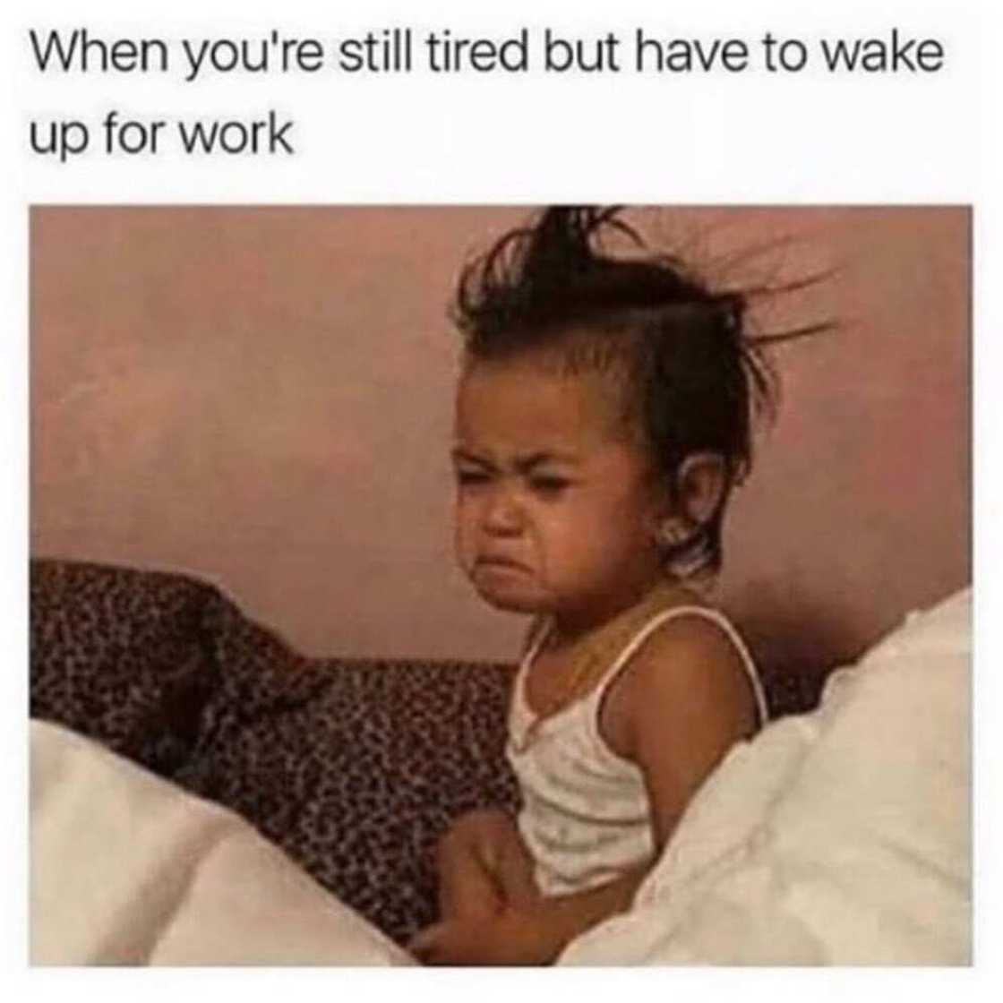 30+ relatable tired meme ideas to exchange with your coworkers 30+ relatable tired meme ideas to exchange with your coworkers
