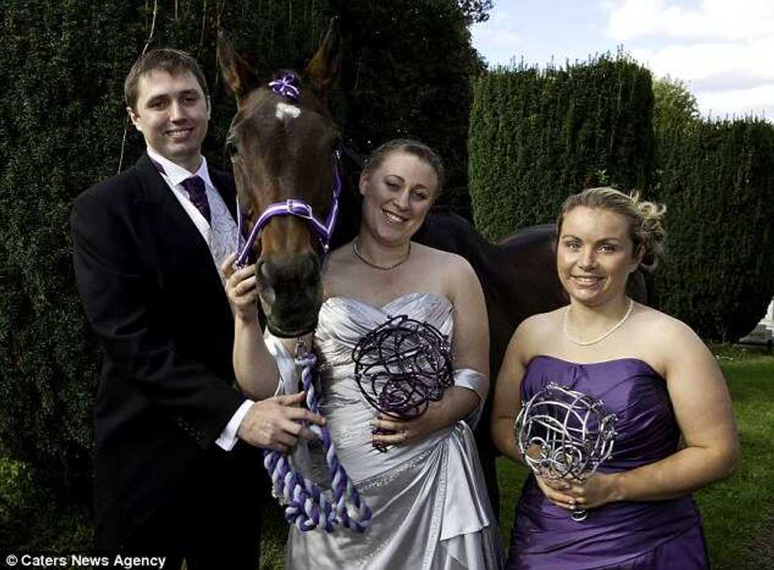 Couples choose horse as bridesmaid