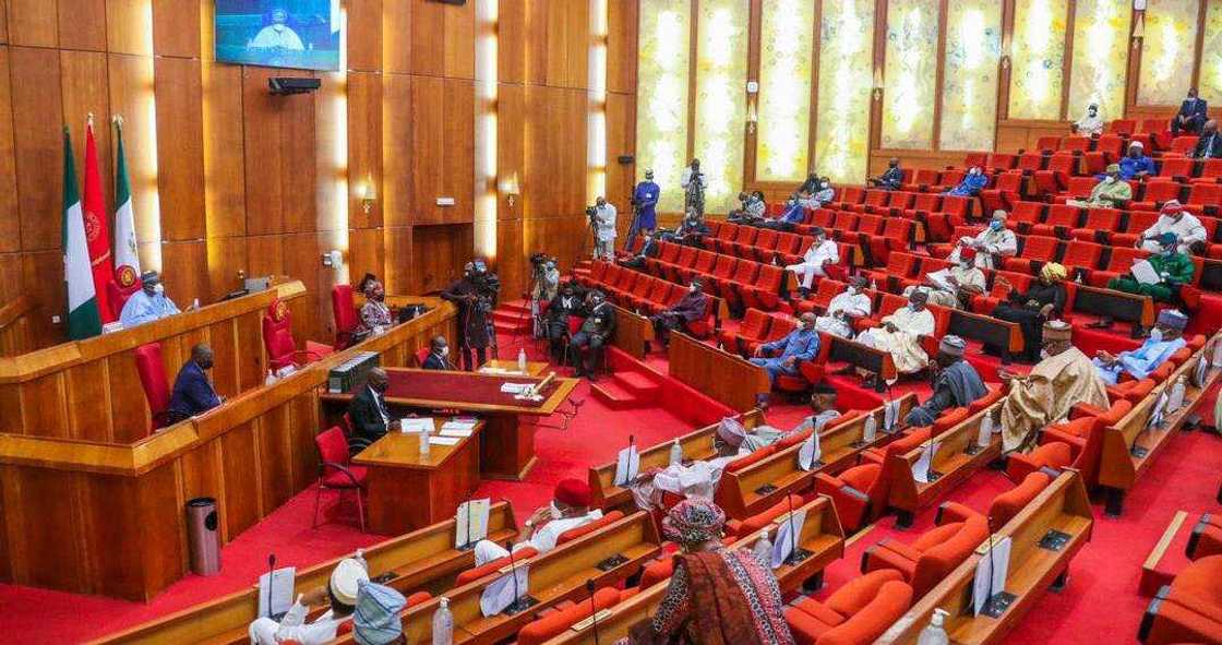 Constitution Review: Nigerian Senate Rejects Special Seats for Women Constitution Review: Nigerian Senate Rejects Special Seats for Women