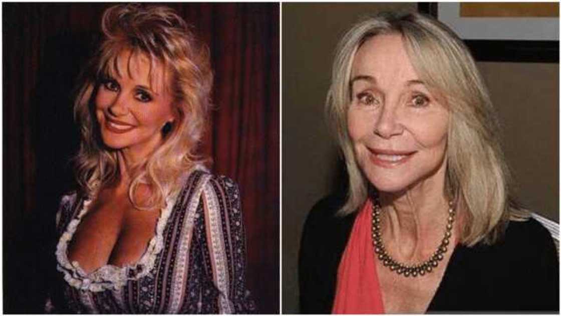 Hee Haw Gunilla Hutton biography Hee Haw Gunilla Hutton biography