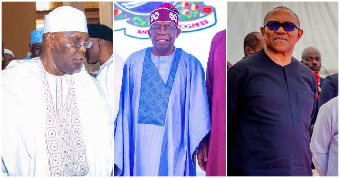 Bola Tinubu/Latest about Bola Tinubu