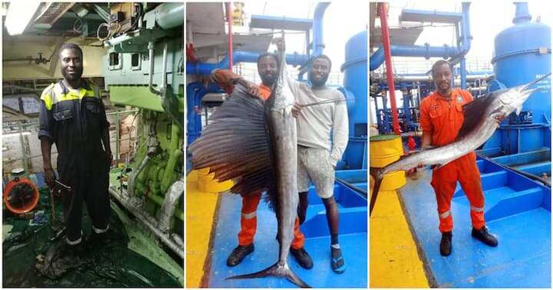 Yadda wasu suka kamo kifin farfesu Yadda wasu suka kamo kifin farfesu