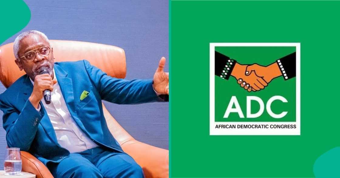 Femi Gbajabiamila, Chief of Staff to President Tinubu, reacts strongly to the Atiku-led coalition. Femi Gbajabiamila, Chief of Staff to President Tinubu, reacts strongly to the Atiku-led coalition.