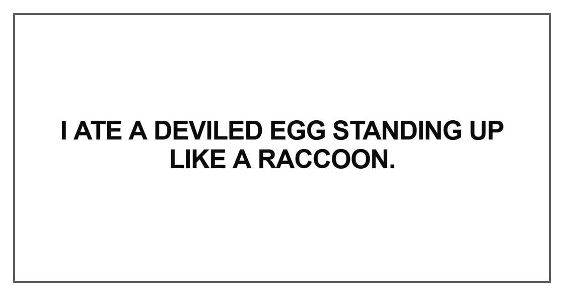 I ate a deviled egg standing up like a raccoon