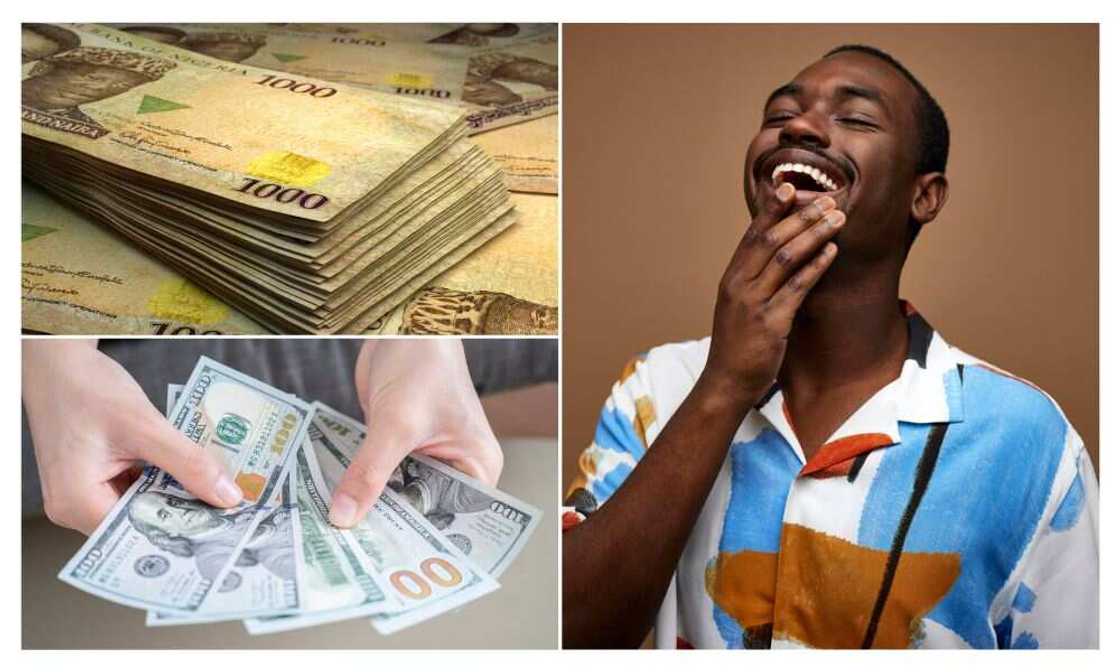 Naira, dollar, Nigeria, CBN Naira, dollar, Nigeria, CBN