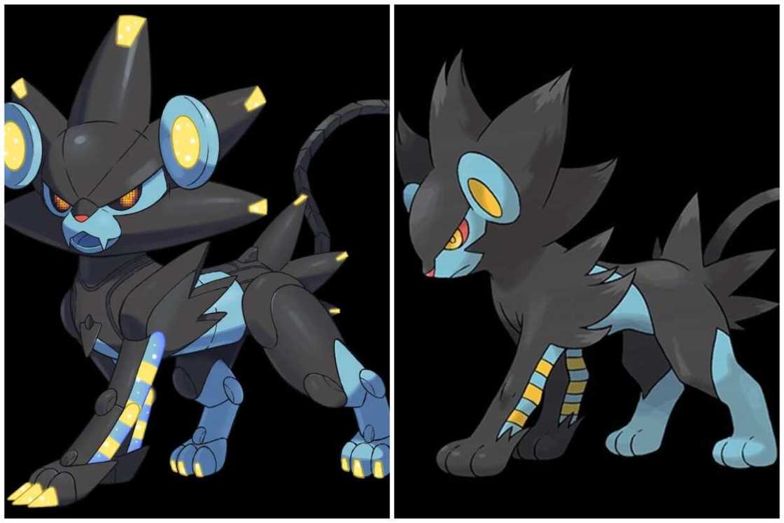 Best Pokemon designs