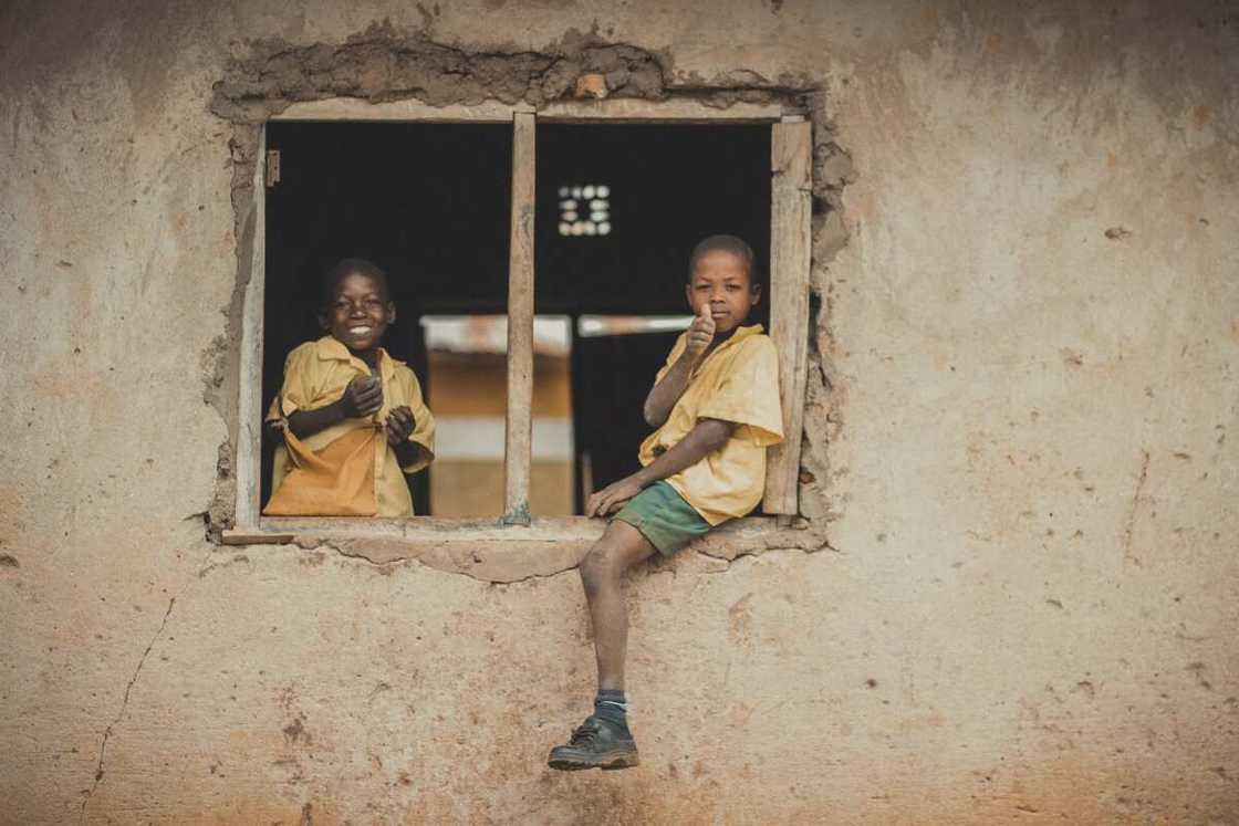 Children in a school window Children in a school window