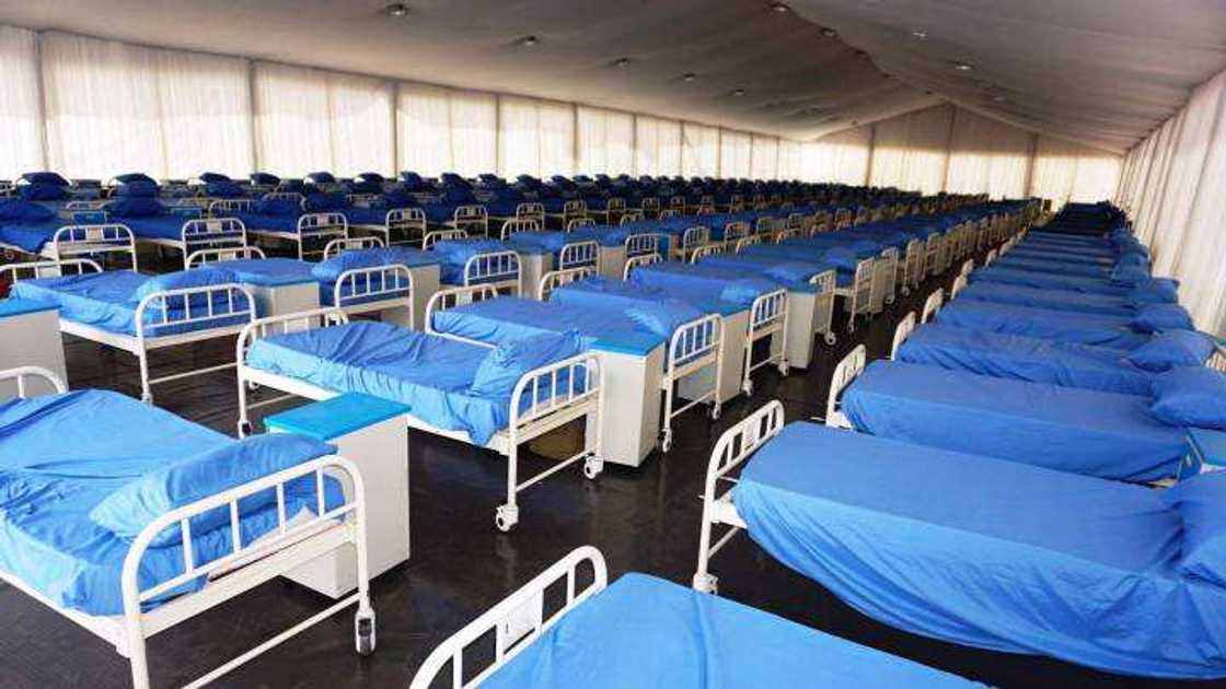 Korona a Najeriya damfara ce kawai - Ma su jinyar da aka sallama Korona a Najeriya damfara ce kawai - Ma su jinyar da aka sallama