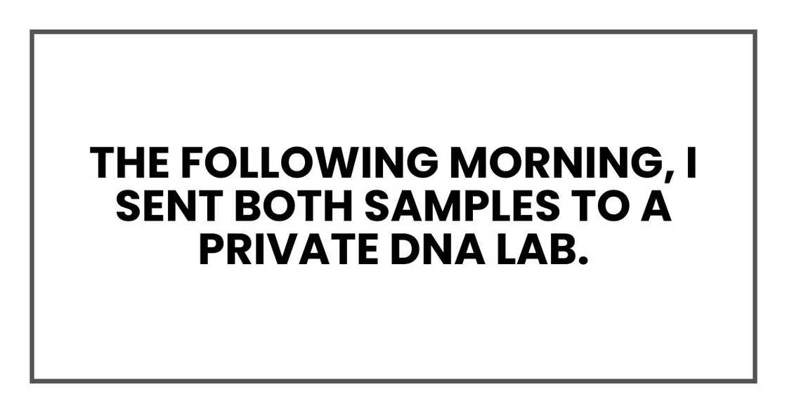 The following morning, I sent both samples to a private DNA lab.