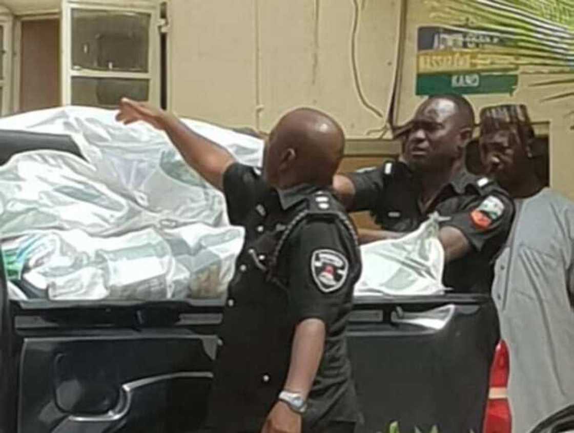 Breaking: Police nab 17 sacks containing thumb-printed ballots in Kano Breaking: Police nab 17 sacks containing thumb-printed ballots in Kano