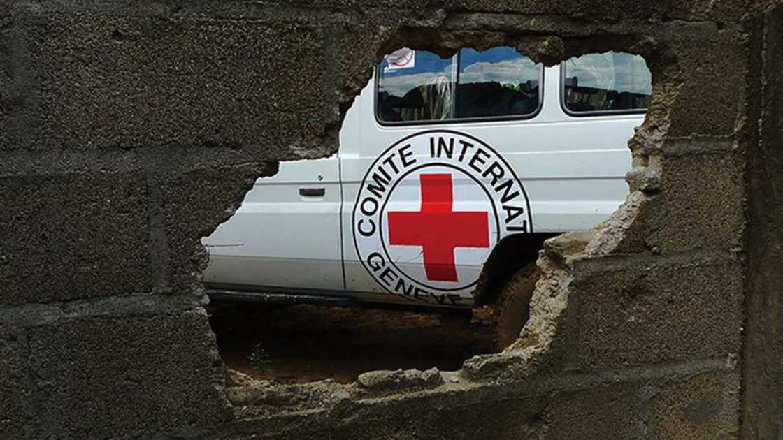 The International Committee of the Red Cross (ICRC) launches a support programme for families of missing persons. The International Committee of the Red Cross (ICRC) launches a support programme for families of missing persons.