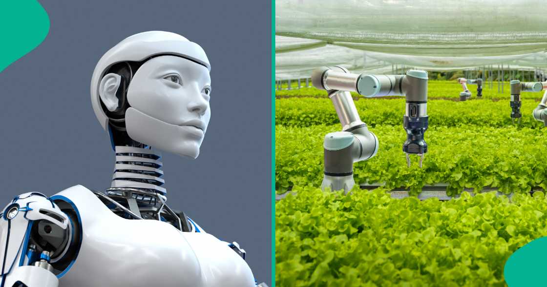 Some scientists have discovered ways to give robots new abilities Some scientists have discovered ways to give robots new abilities