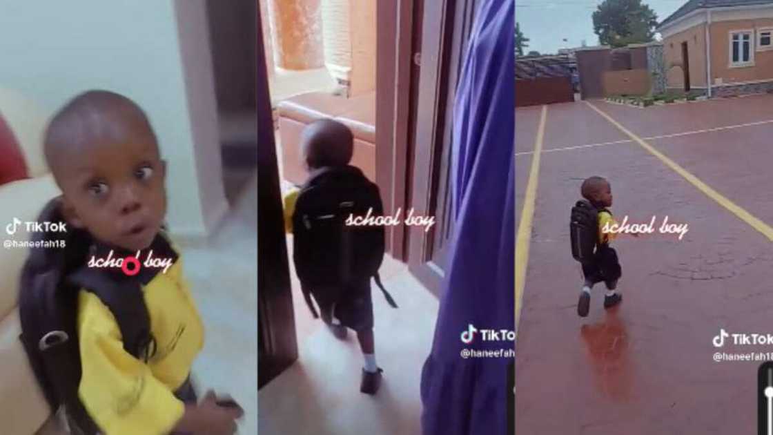 Little boy happy to go to school Little boy happy to go to school