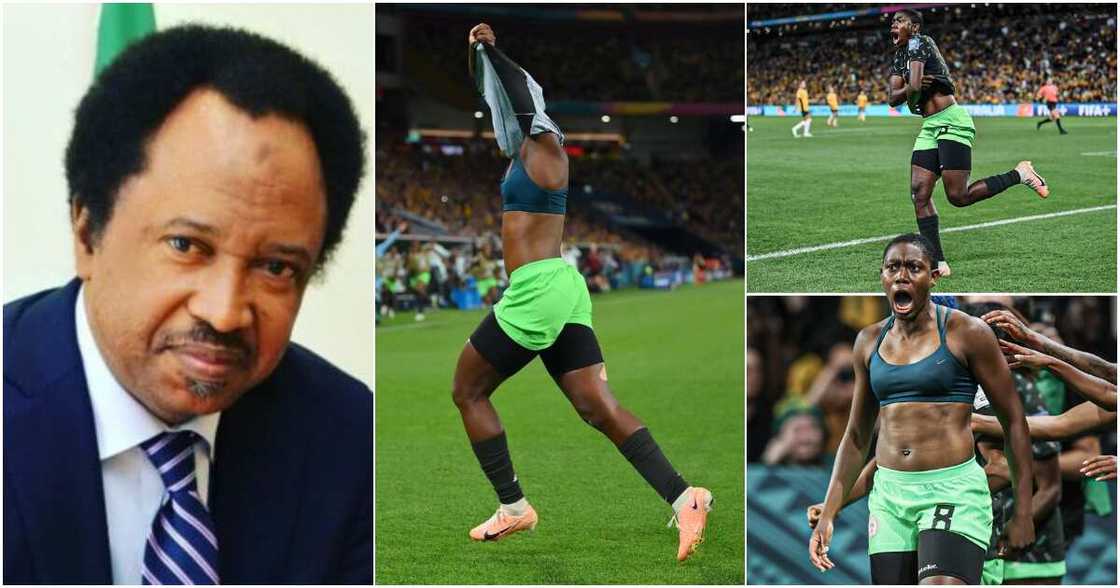 Shehu Sani, Female World Cup