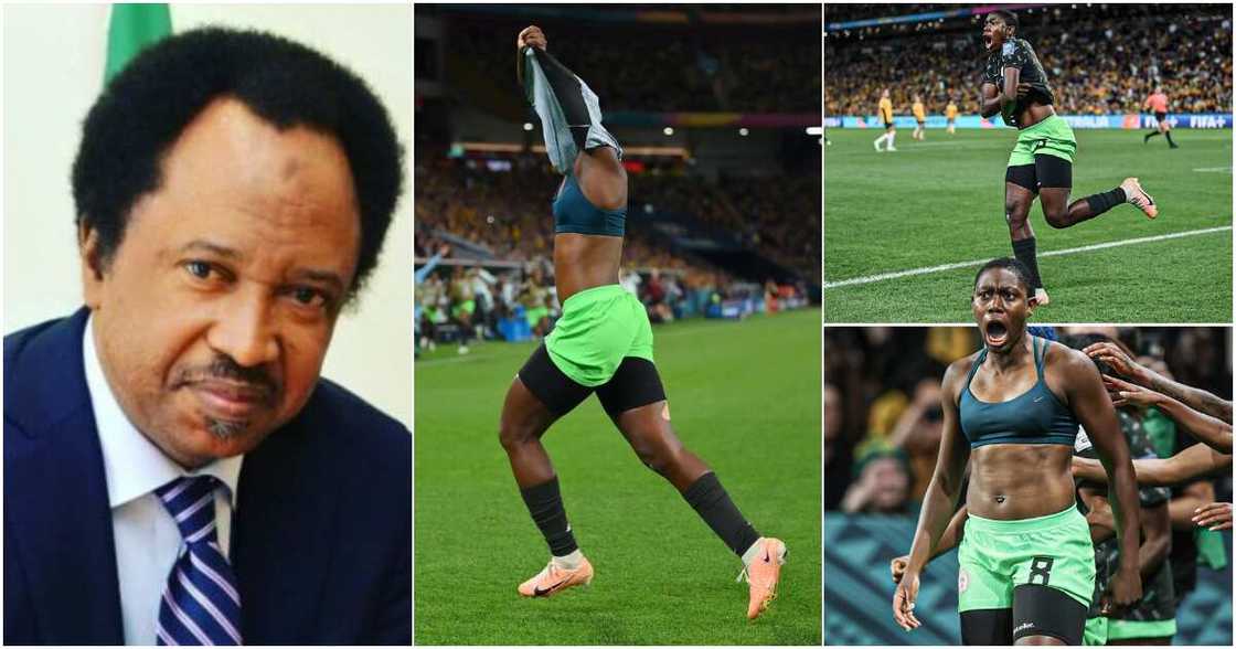 Shehu Sani, Female World Cup Shehu Sani, Female World Cup