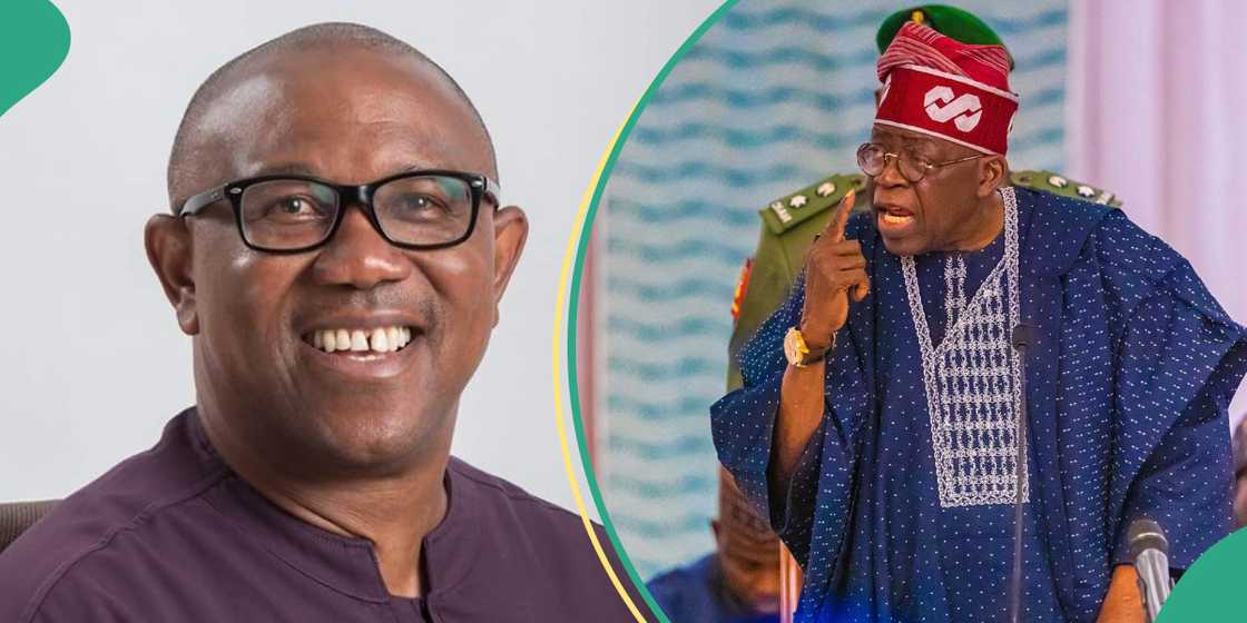 Presidency allegedly plotting to arrest Peter Obi Presidency allegedly plotting to arrest Peter Obi