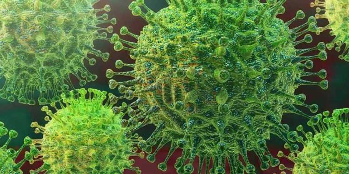 Masana kimiyya sun gano magunguna 6 da ka iya kashe coronavirus Masana kimiyya sun gano magunguna 6 da ka iya kashe coronavirus