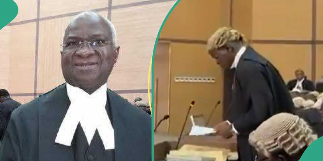 Former Lagos Governor Babatunde Raji Fashola fully back in legal practice. Former Lagos Governor Babatunde Raji Fashola fully back in legal practice.