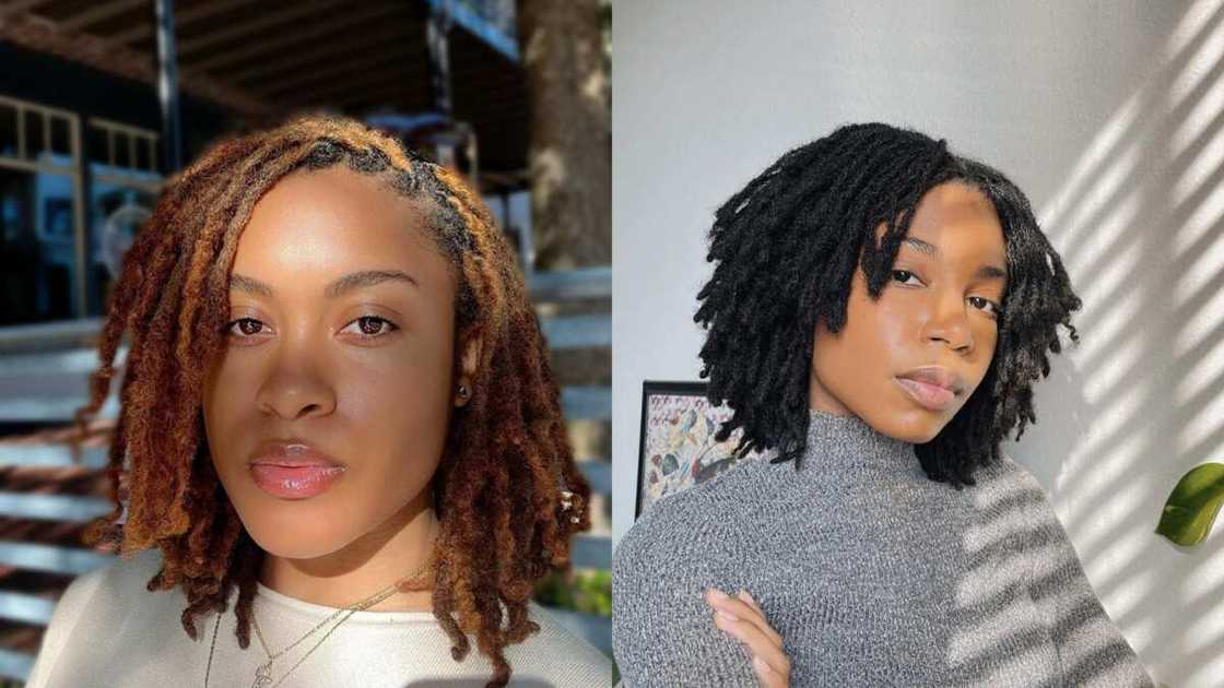 black natural hairstyles for you black natural hairstyles for you