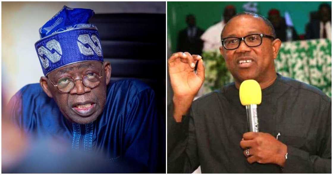 Peter Obi, 2023 election, PDP, APC, Bola Tinubu