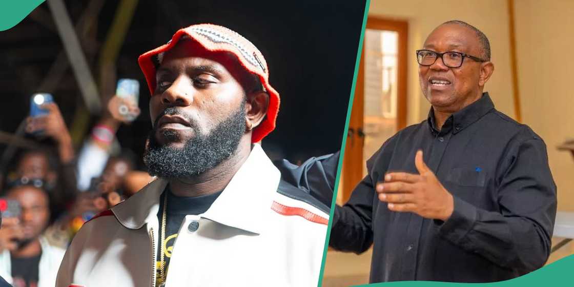 Odumodublvck shares the reason for asking Peter Obi to make a video for him and promote his project, The Machine Is Coming. Odumodublvck shares the reason for asking Peter Obi to make a video for him and promote his project, The Machine Is Coming.