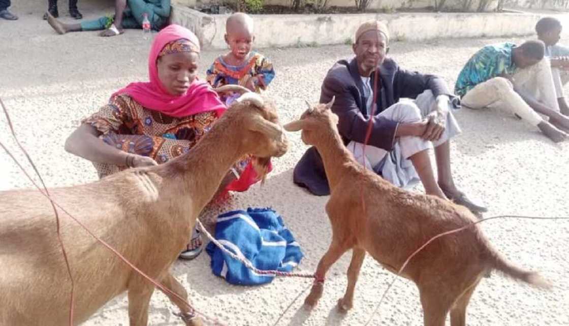 NSCDC ta cafke wata mata mai shekaru 35 kan satar akuya 22 a Bauchi