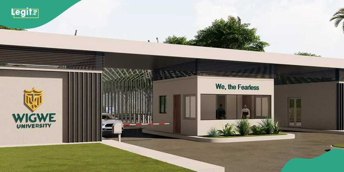 Wigwe University impresses Nigeria Wigwe University impresses Nigeria